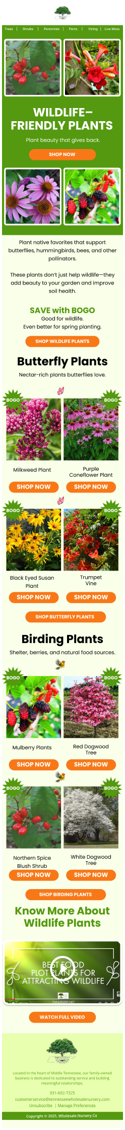 Email Template 1